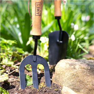 Ames Hand Fork Carbon